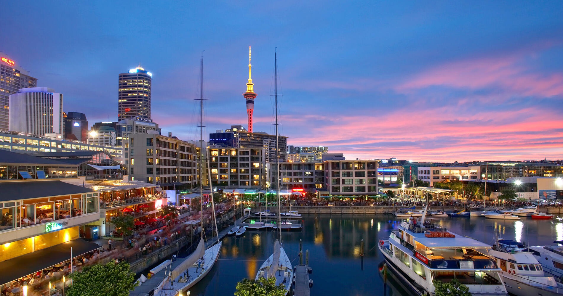 AIIMS Group Auckland SEO Services