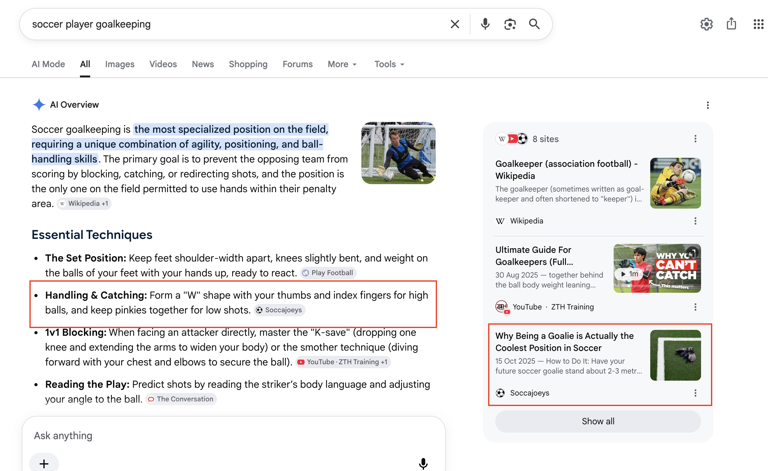 Google AI Overview citing SoccaJoeys goalkeeper handling and catching advice